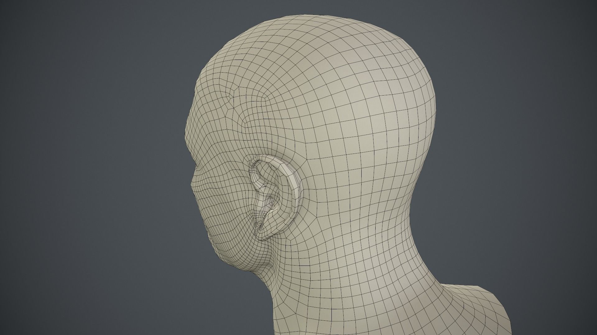 Male Head Low-poly 3D model_77