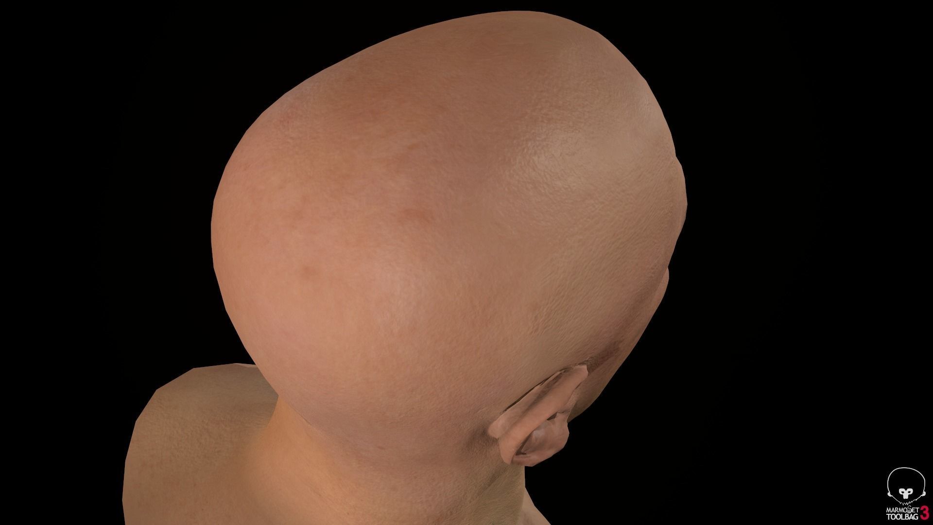 Male Head Low-poly 3D model_43