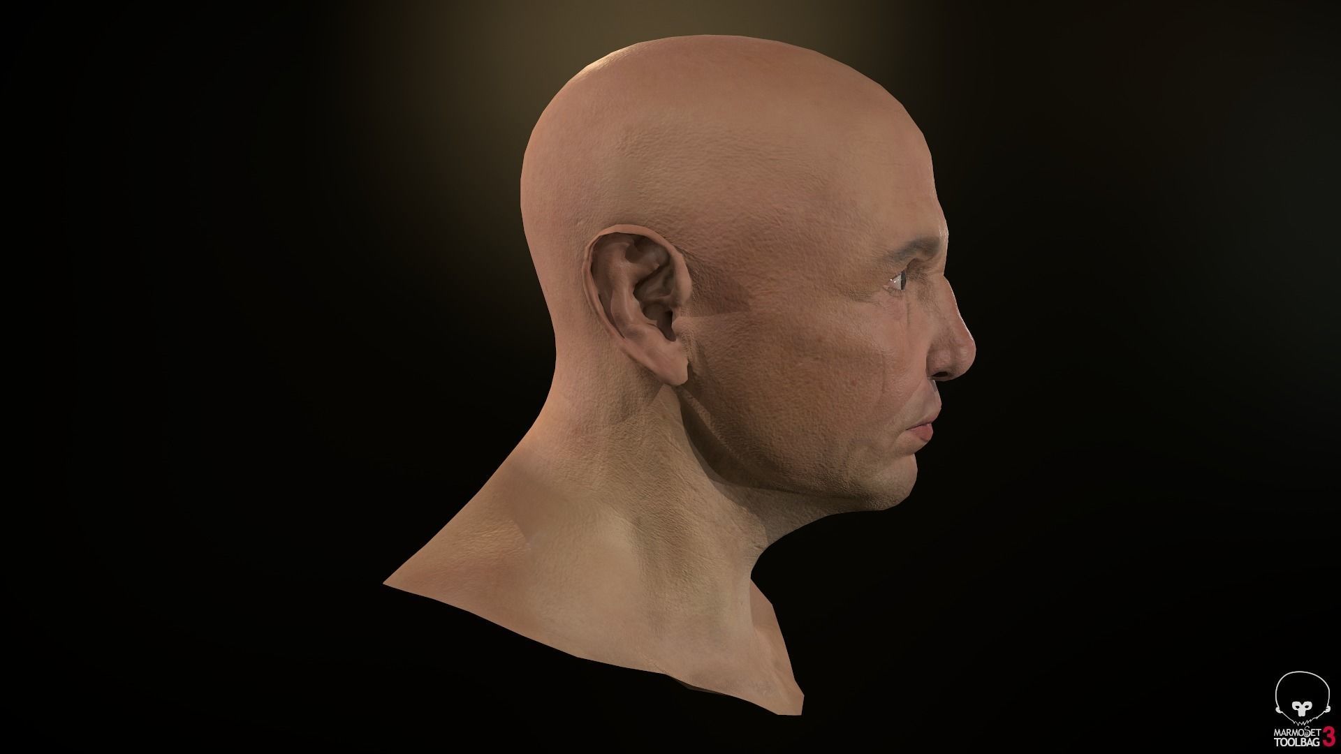 Male Head Low-poly 3D model_35