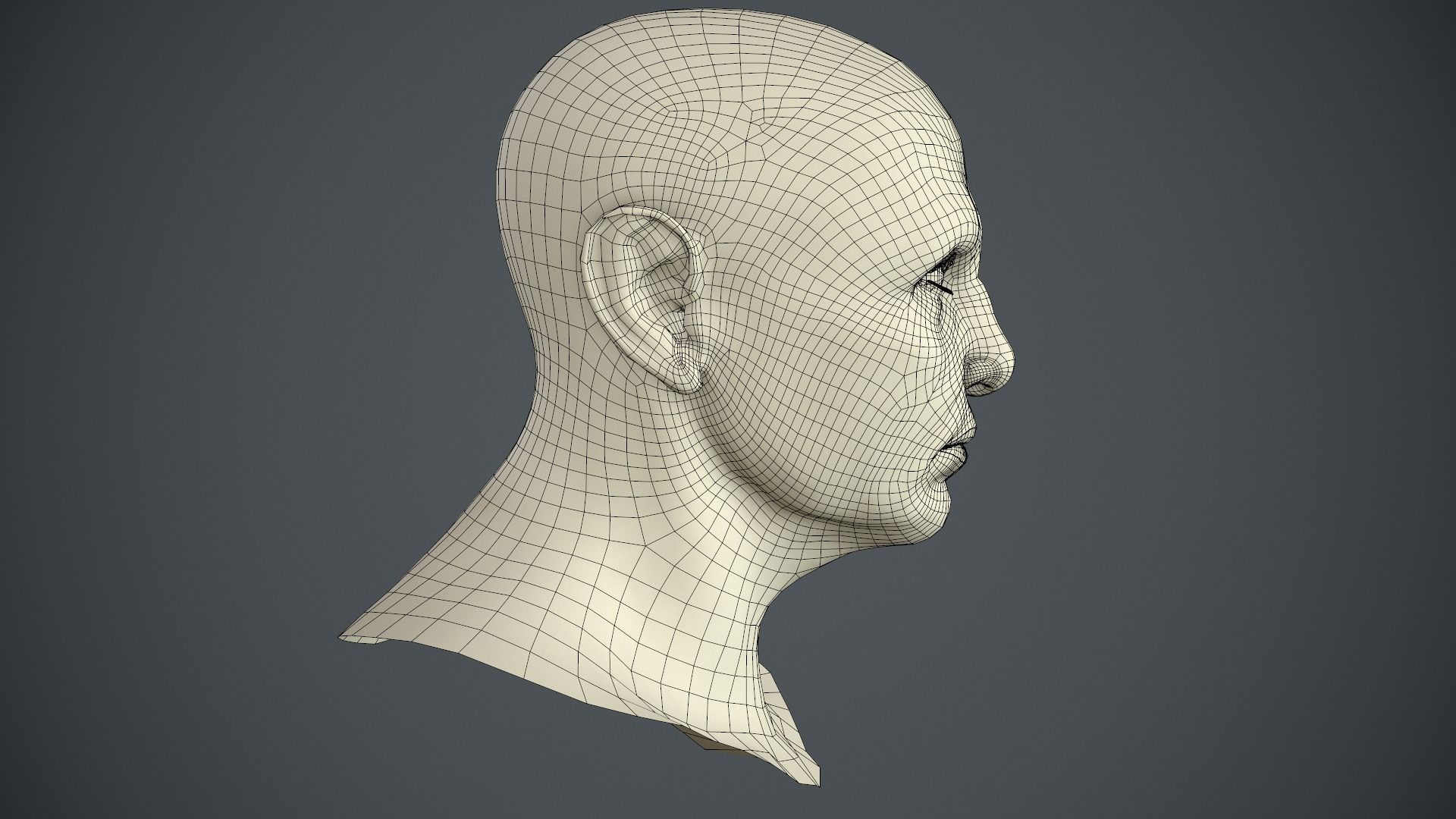 Male Head Low-poly 3D model_60