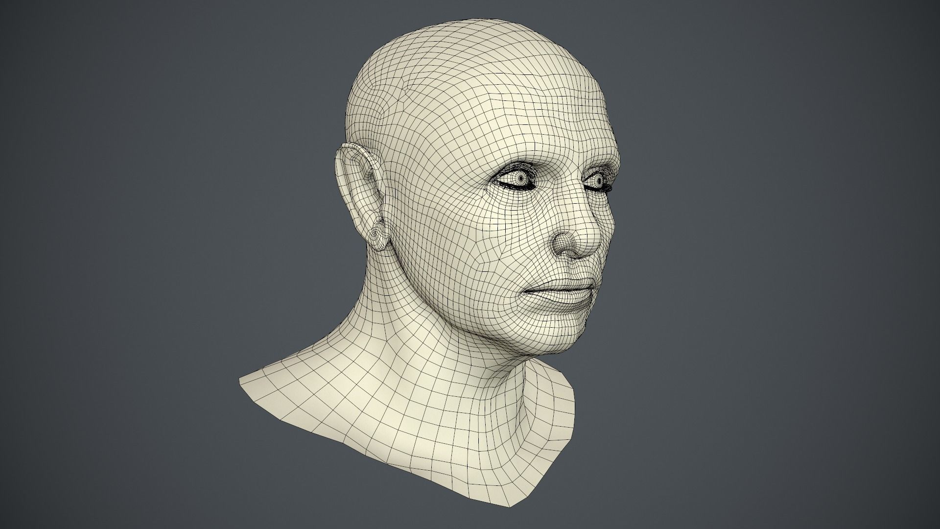 Male Head Low-poly 3D model_59
