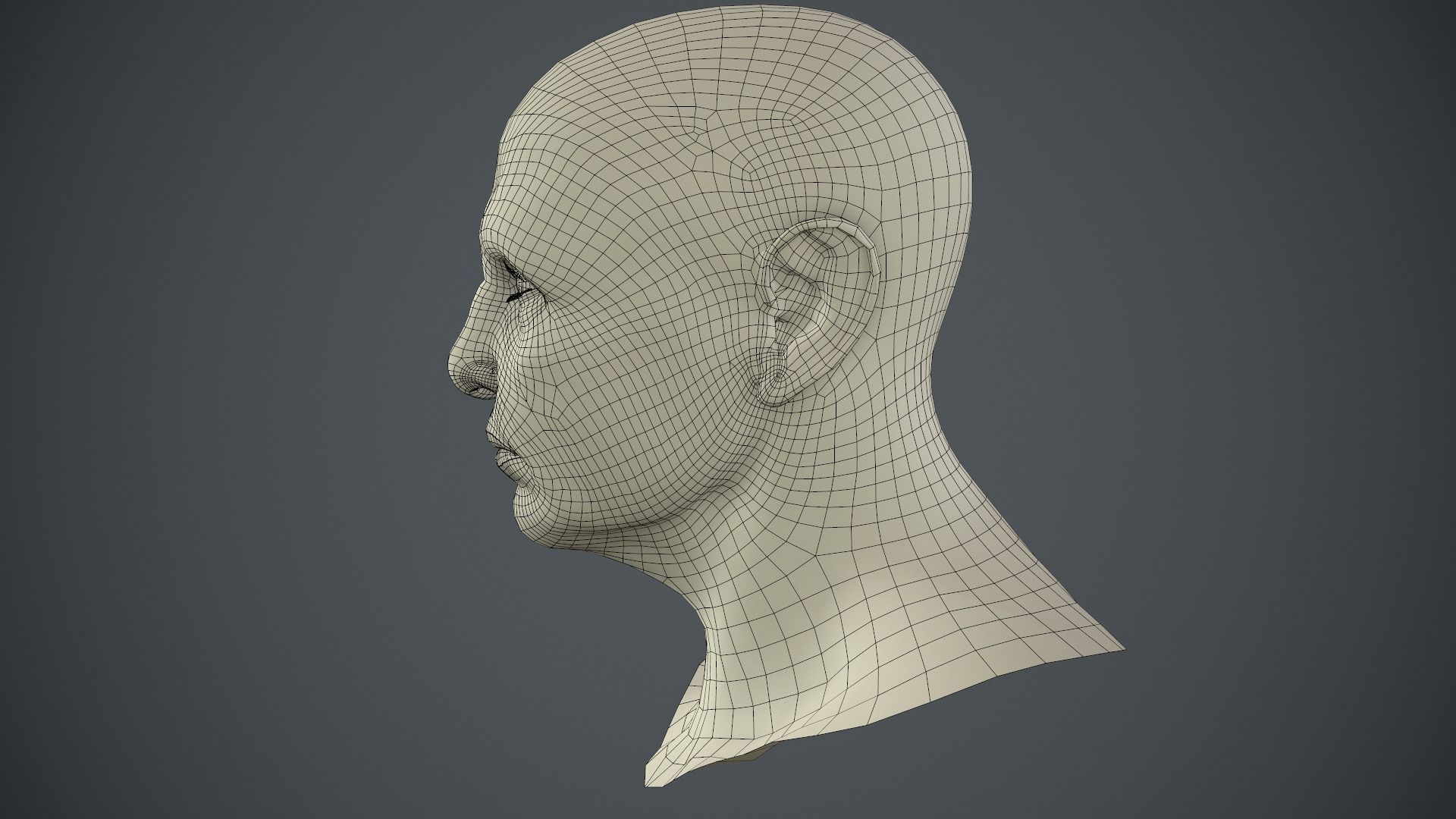 Male Head Low-poly 3D model_62