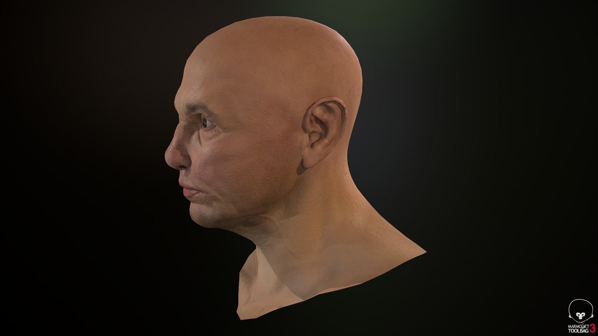 Male Head Low-poly 3D model_33