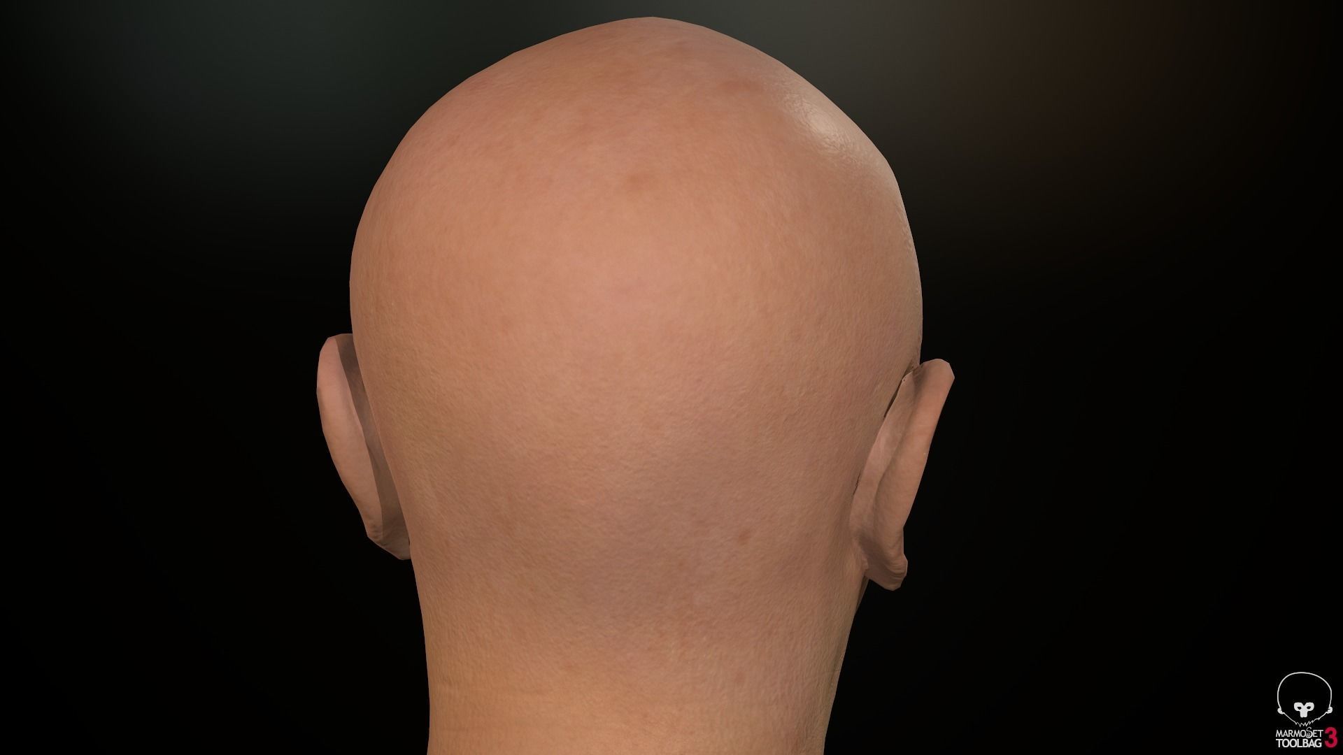 Male Head Low-poly 3D model_42