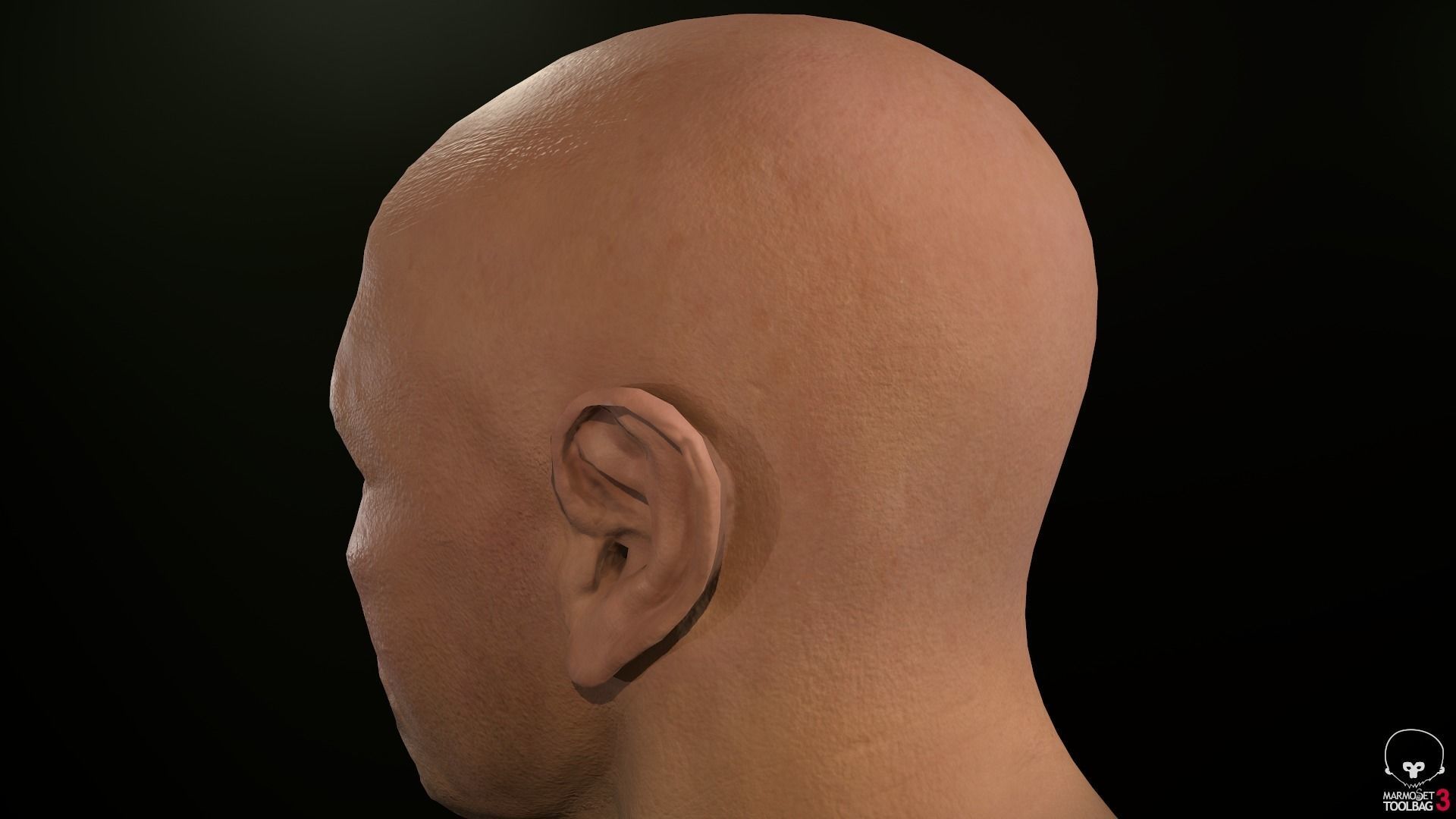 Male Head Low-poly 3D model_41