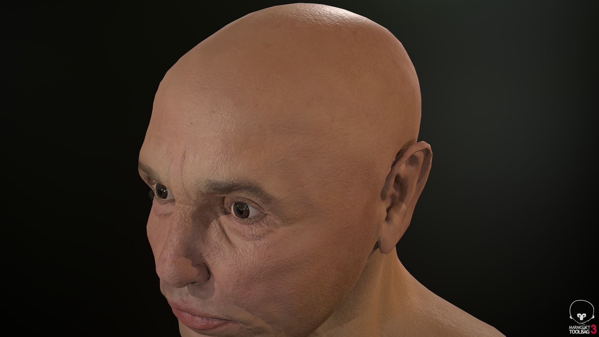 Male Head Low-poly 3D model_39