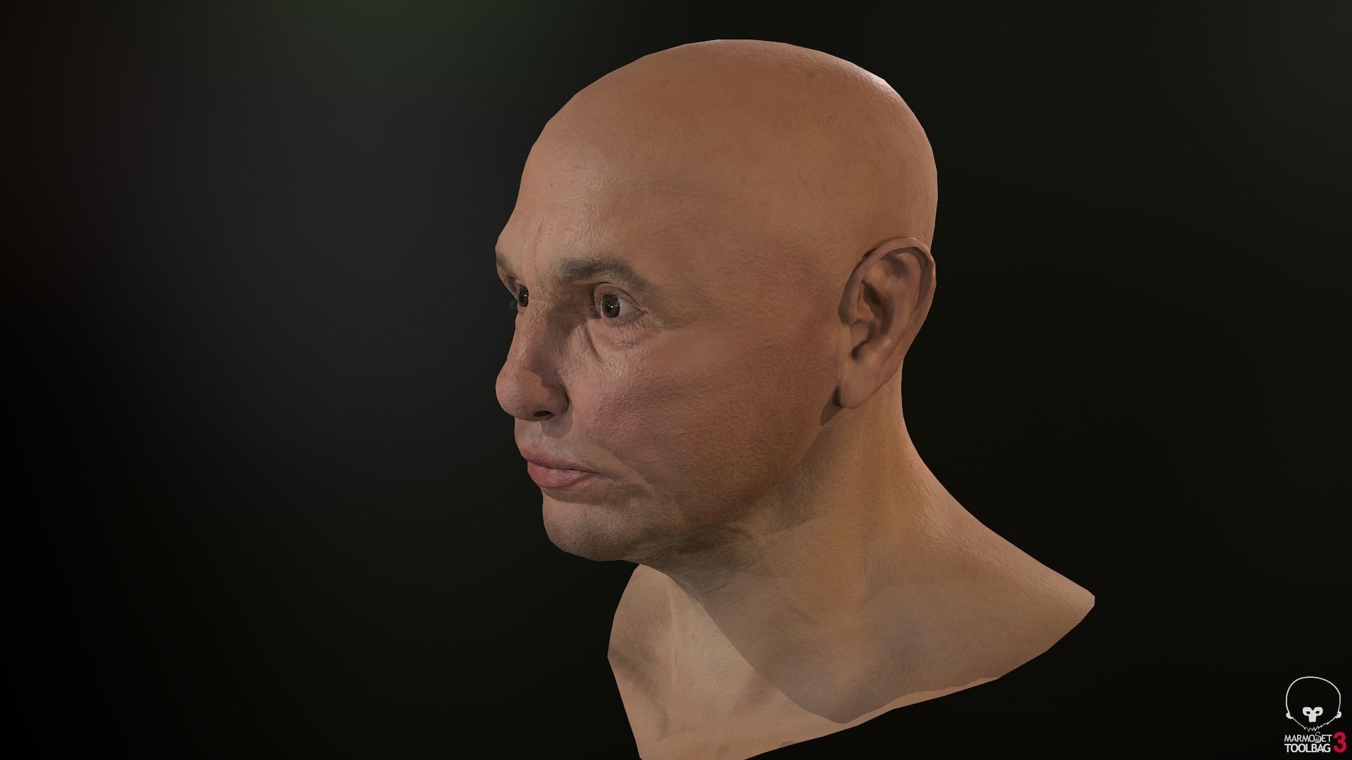 Male Head Low-poly 3D model_46