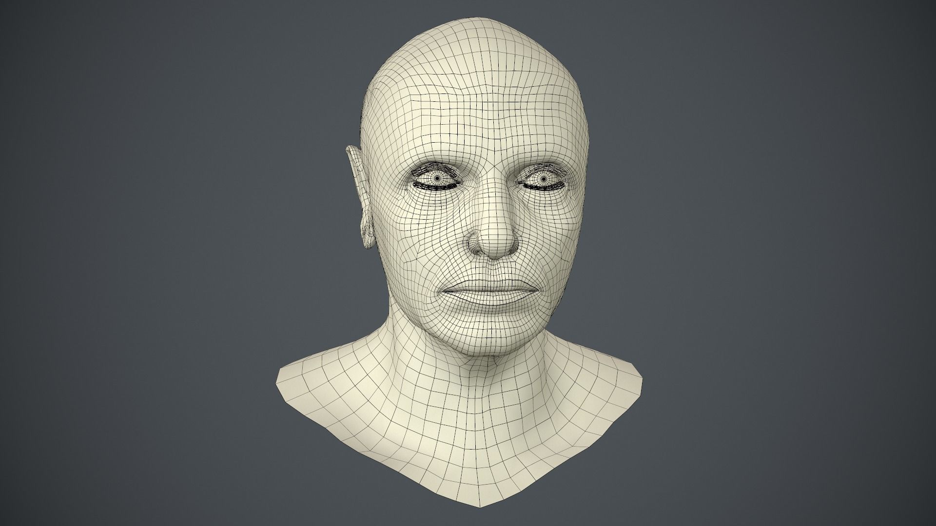Male Head Low-poly 3D model_58