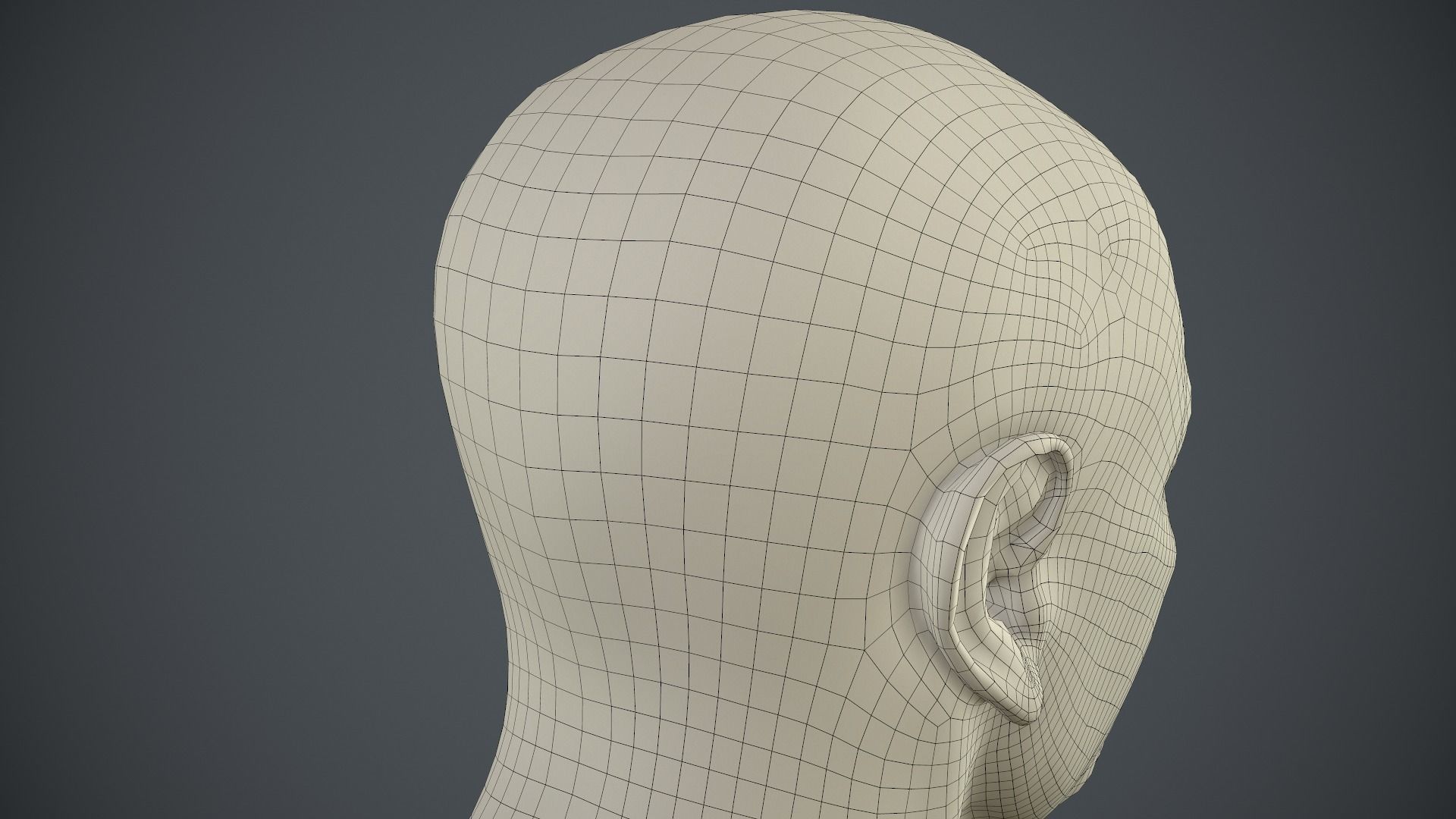 Male Head Low-poly 3D model_76
