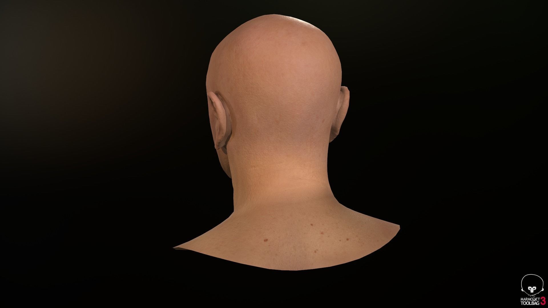 Male Head Low-poly 3D model_34