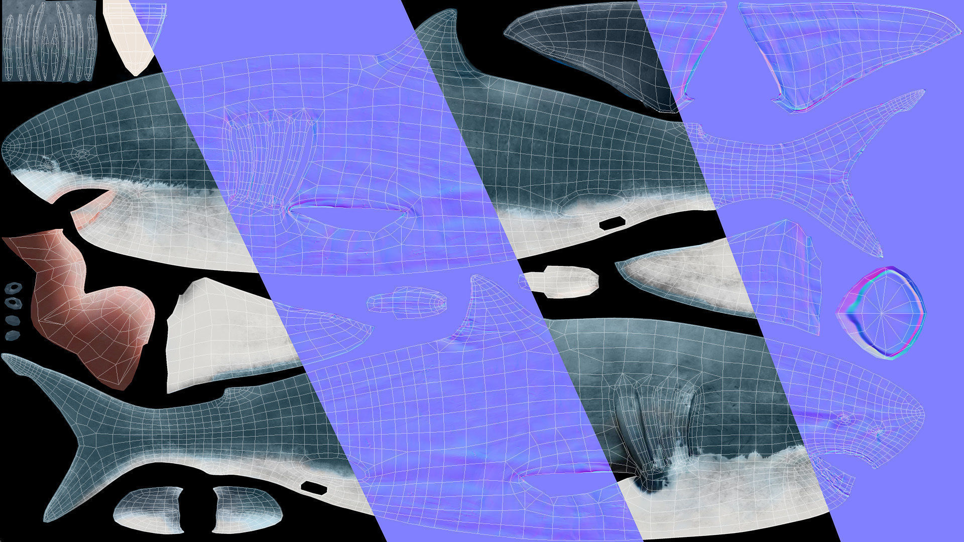 Great White Shark - Octane Support Low-poly 3D model_9