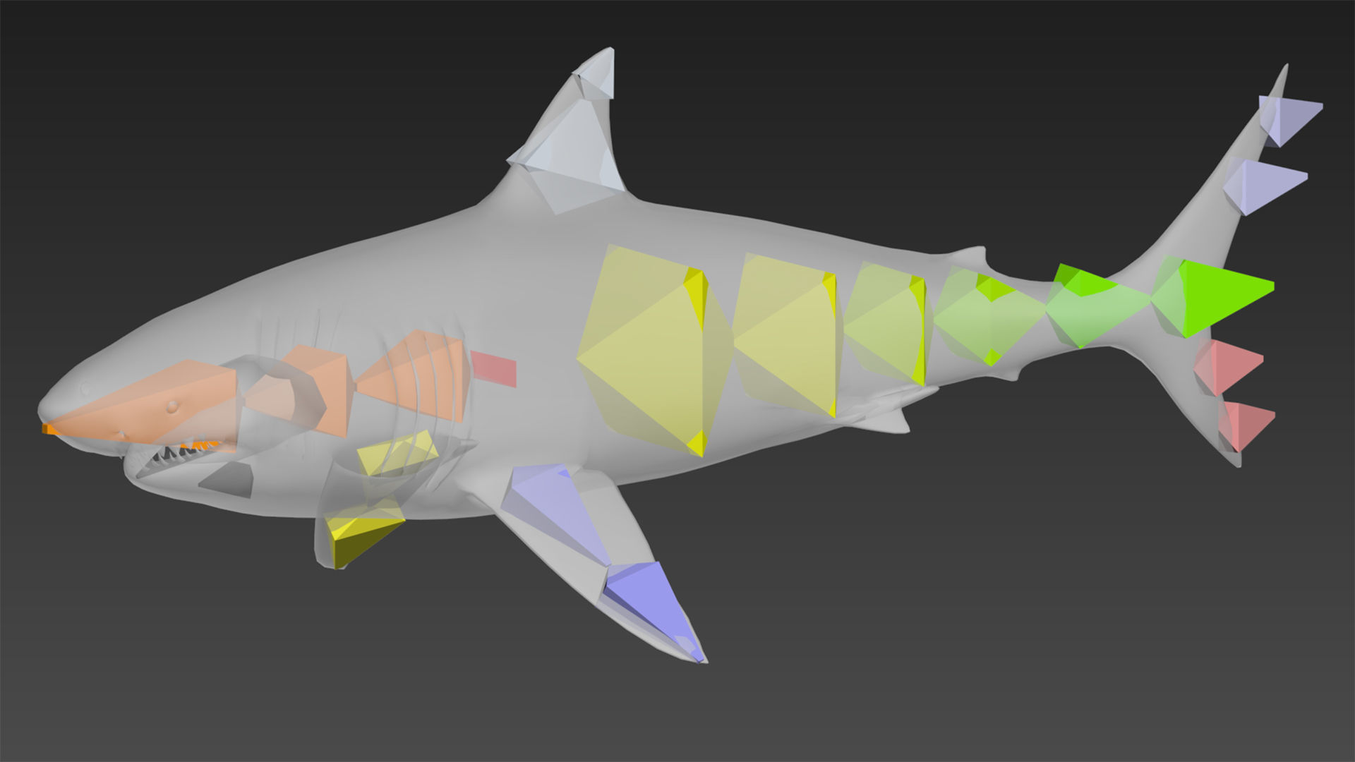 Great White Shark - Octane Support Low-poly 3D model_12