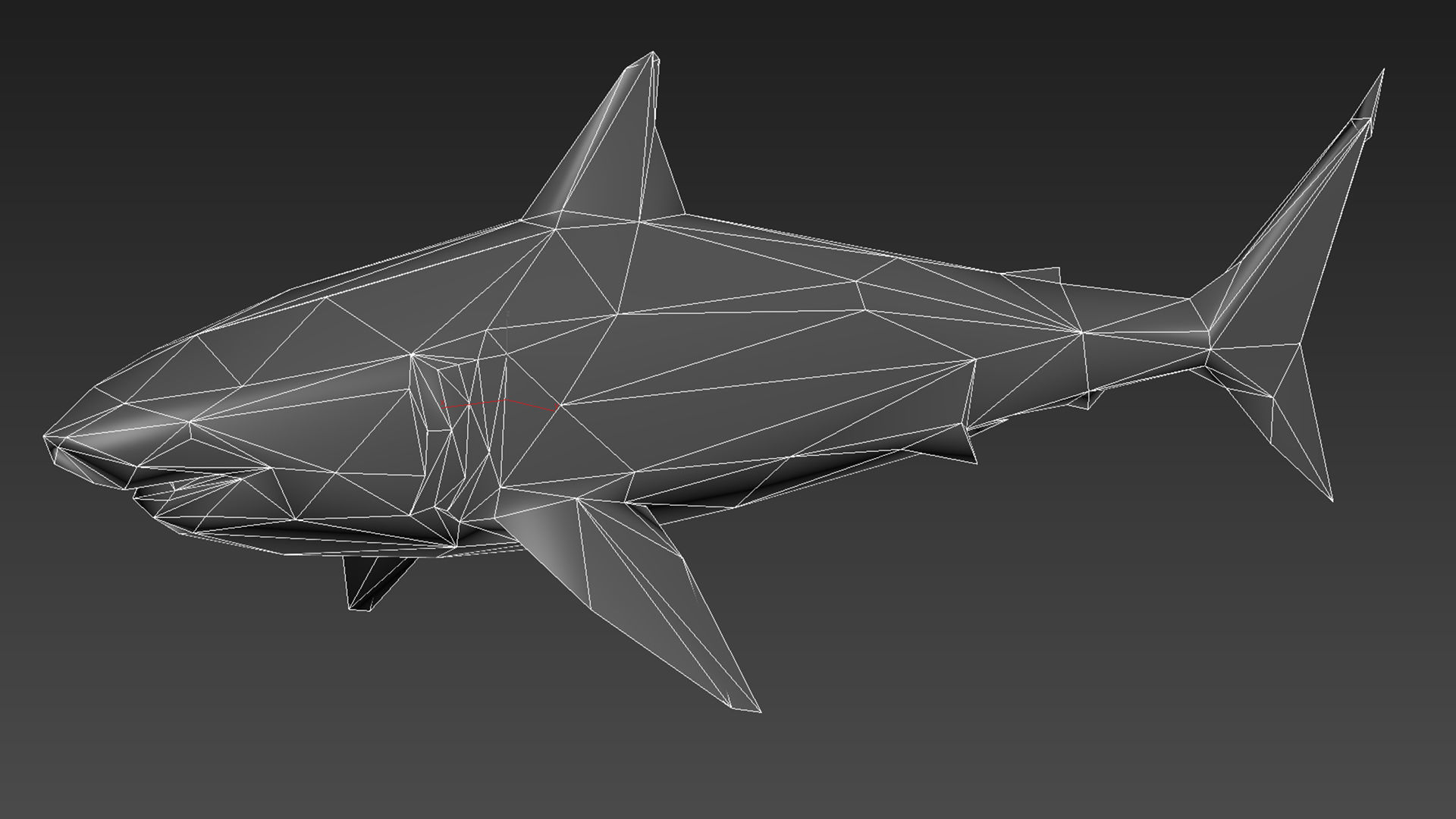 Great White Shark - Octane Support Low-poly 3D model_16