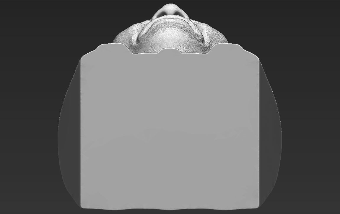 Nelson Mandela bust 3D printing ready stl obj formats 3D print model_23