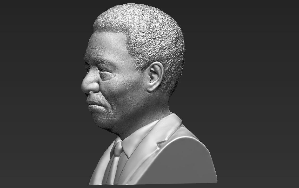 Nelson Mandela bust 3D printing ready stl obj formats 3D print model_3