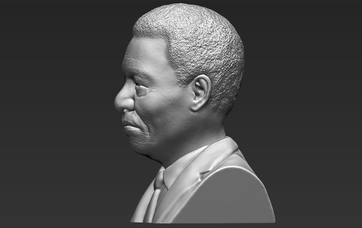 Nelson Mandela bust 3D printing ready stl obj formats 3D print model_4