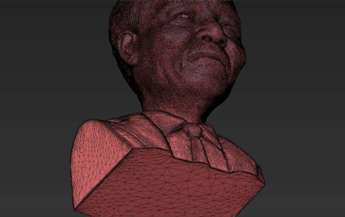Nelson Mandela bust 3D printing ready stl obj formats 3D print model_29