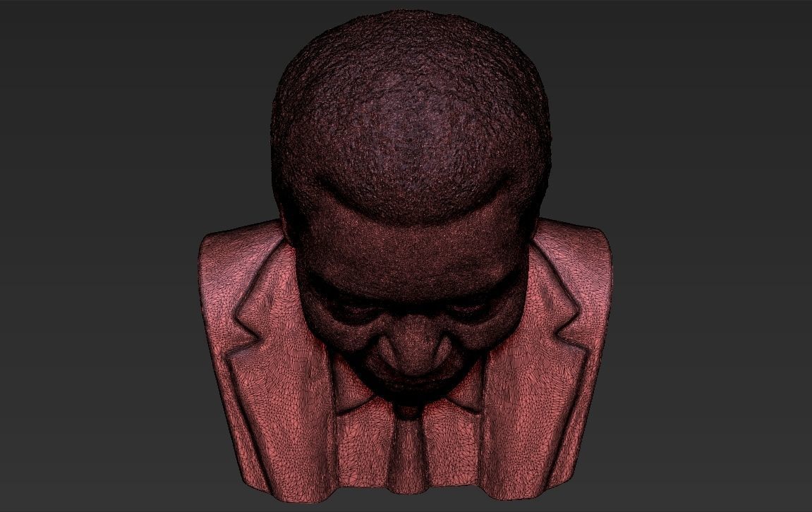Nelson Mandela bust 3D printing ready stl obj formats 3D print model_30