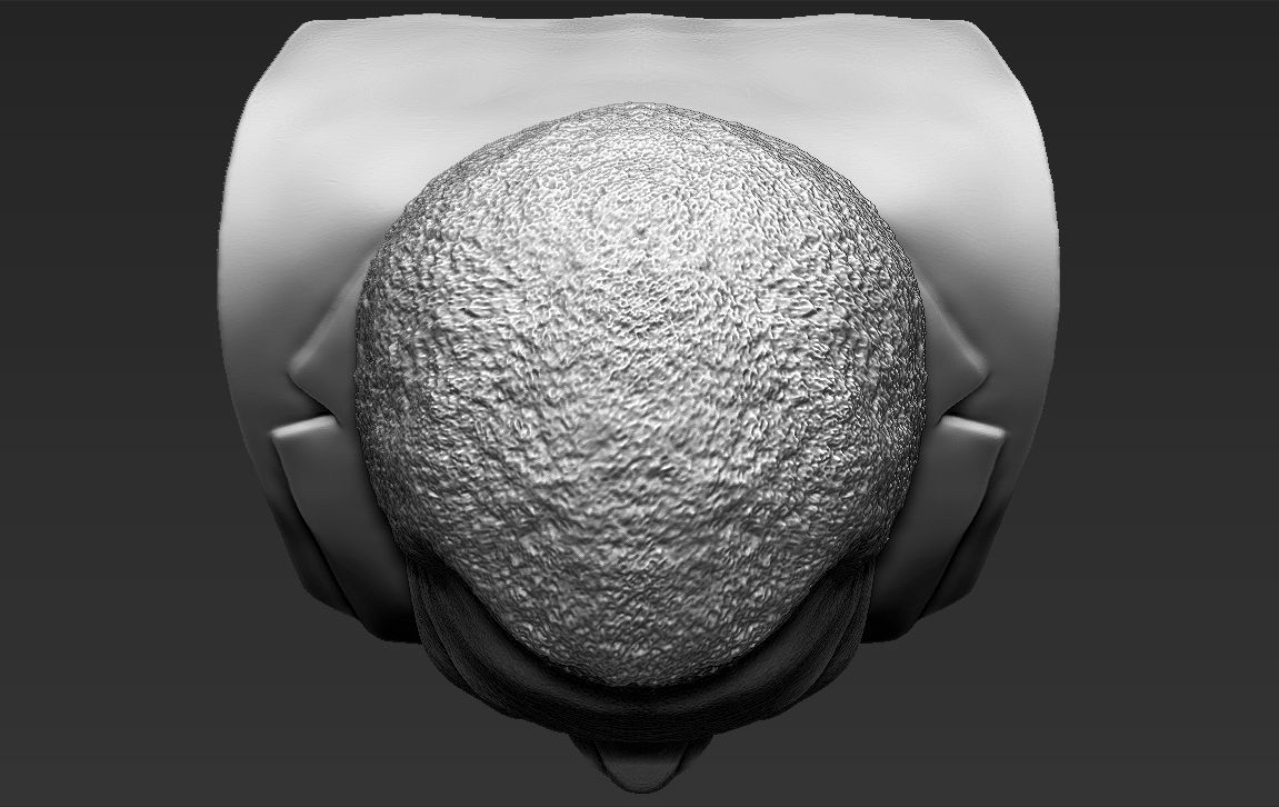 Nelson Mandela bust 3D printing ready stl obj formats 3D print model_19