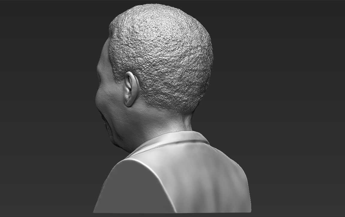 Nelson Mandela bust 3D printing ready stl obj formats 3D print model_24