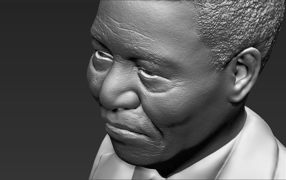 Nelson Mandela bust 3D printing ready stl obj formats 3D print model_15