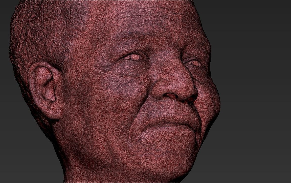 Nelson Mandela bust 3D printing ready stl obj formats 3D print model_28