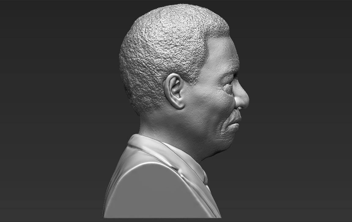 Nelson Mandela bust 3D printing ready stl obj formats 3D print model_8