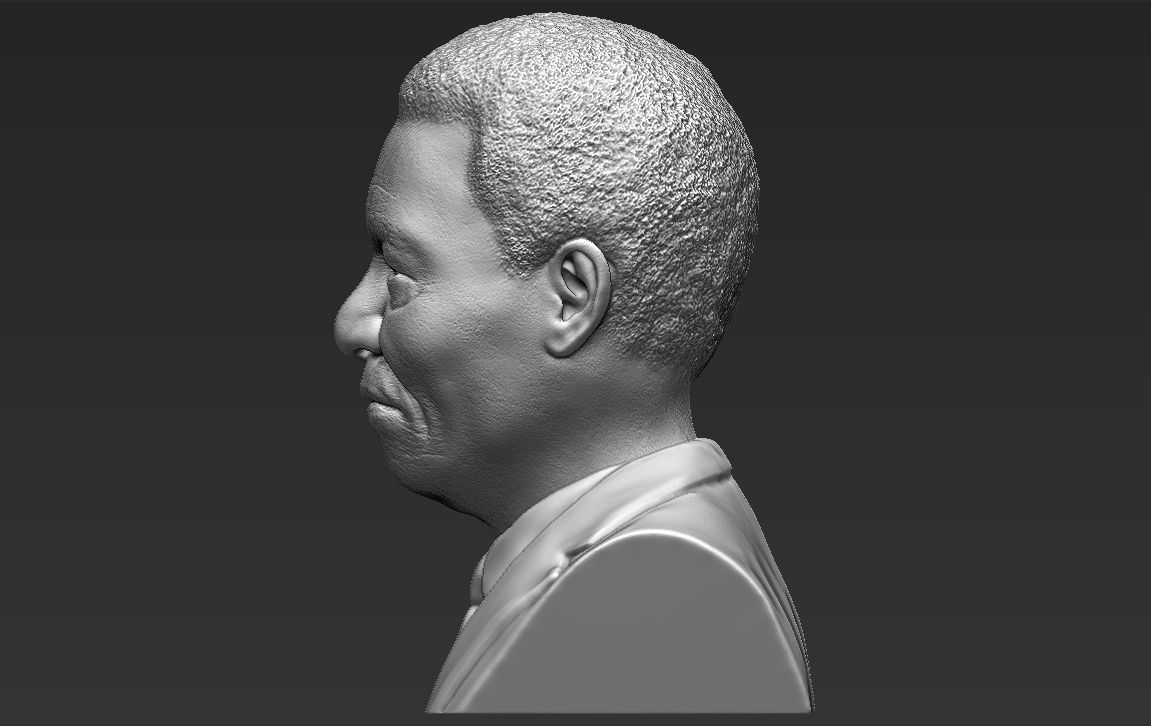 Nelson Mandela bust 3D printing ready stl obj formats 3D print model_5