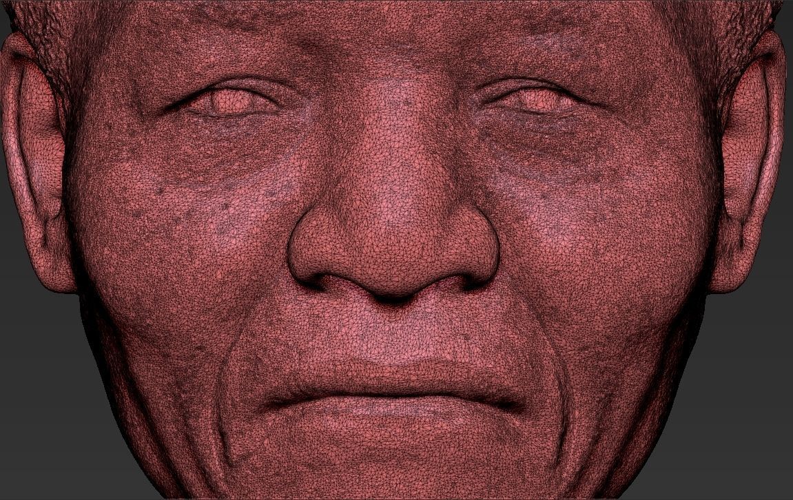 Nelson Mandela bust 3D printing ready stl obj formats 3D print model_27