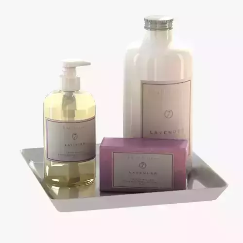 Pottery Barn Design Soaps 3D model