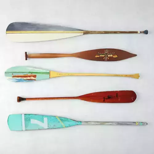 Vintage Oars and Paddles 3D model