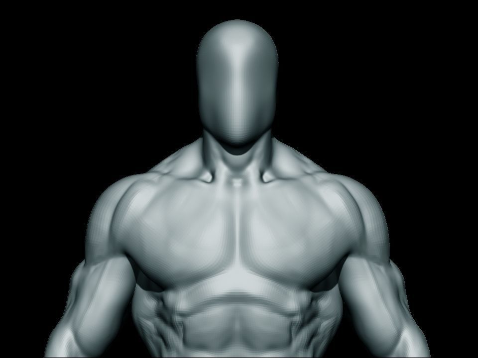 anatomy bodybuilder  Low-poly 3D model_13