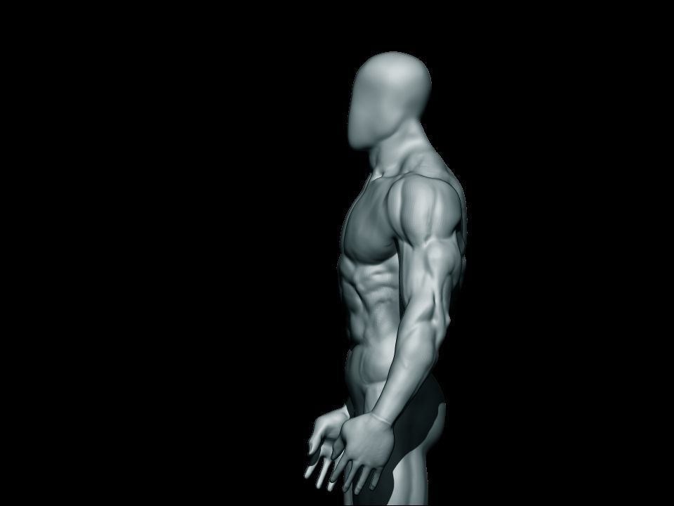 anatomy bodybuilder  Low-poly 3D model_9