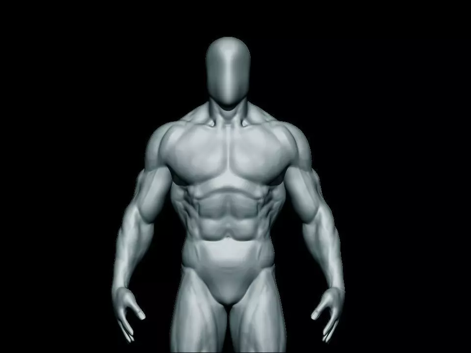 anatomy bodybuilder  Low-poly 3D model_0
