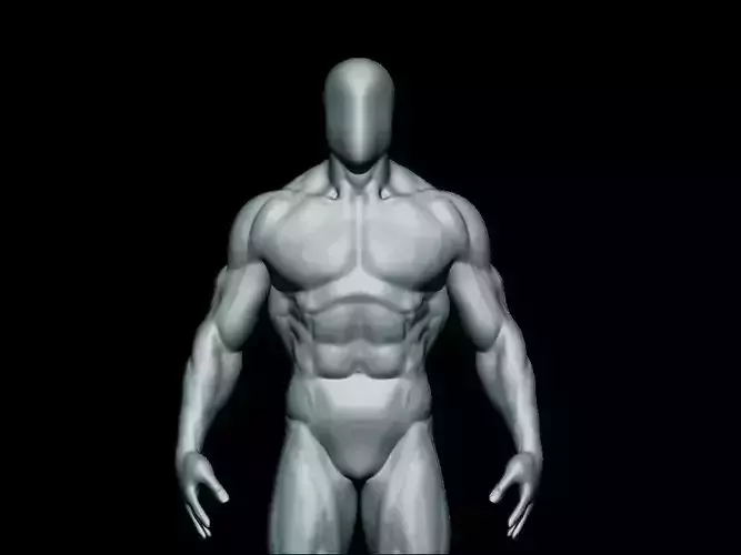 anatomy bodybuilder  Low-poly 3D model