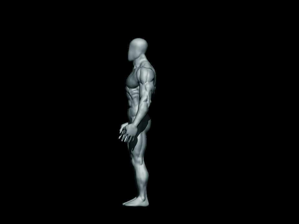 anatomy bodybuilder  Low-poly 3D model_11