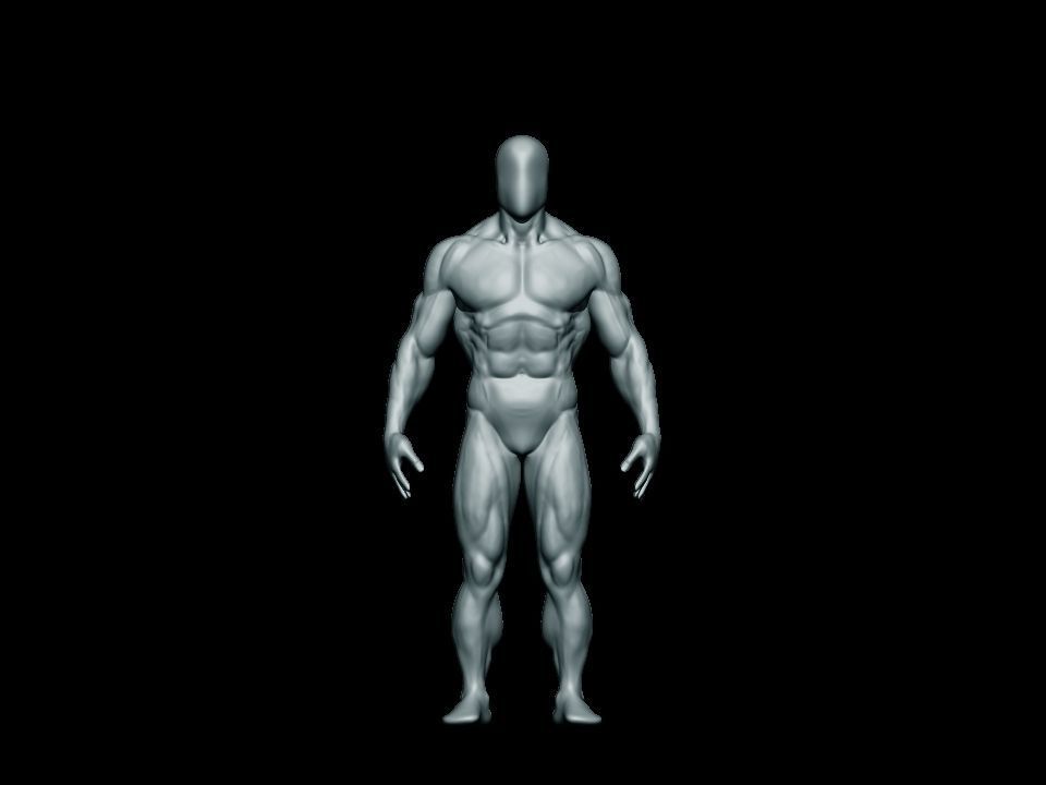 anatomy bodybuilder  Low-poly 3D model_8