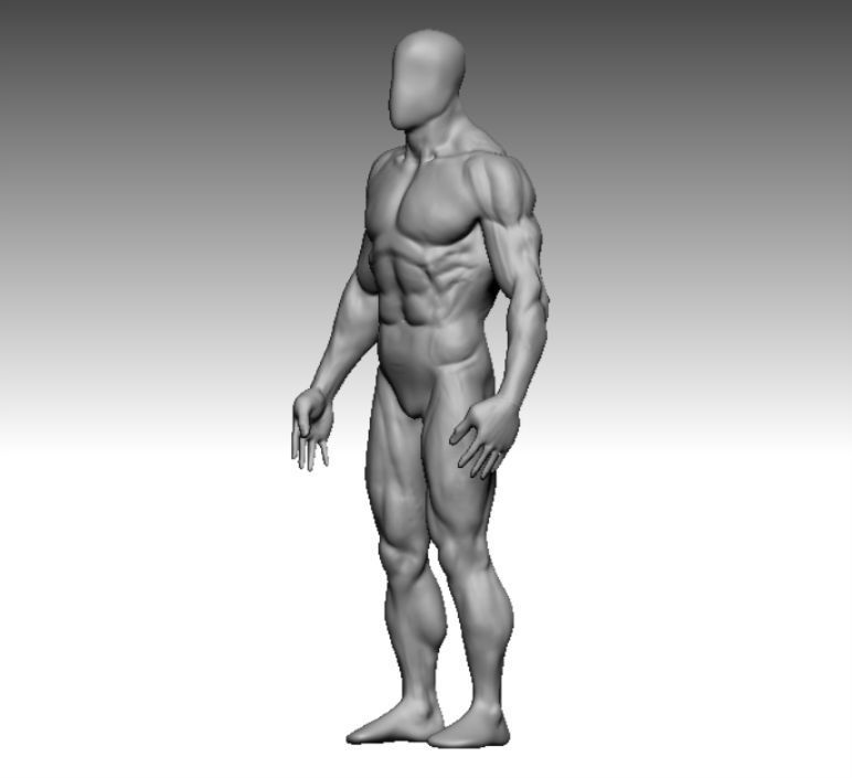 anatomy bodybuilder  Low-poly 3D model_4