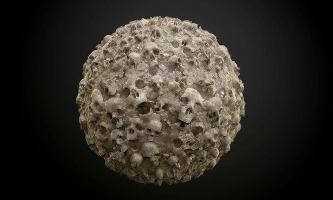 Skull Muddy Seamless PBR Texture Texture