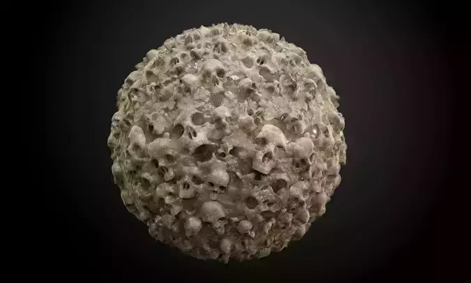 Skull Muddy Seamless PBR Texture Texture