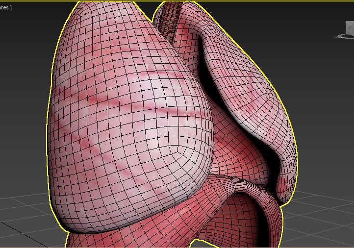lungs 3D model_2