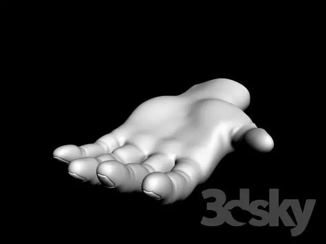 Level 0 Hand Hand-0 hand free 3D model | CGTrader