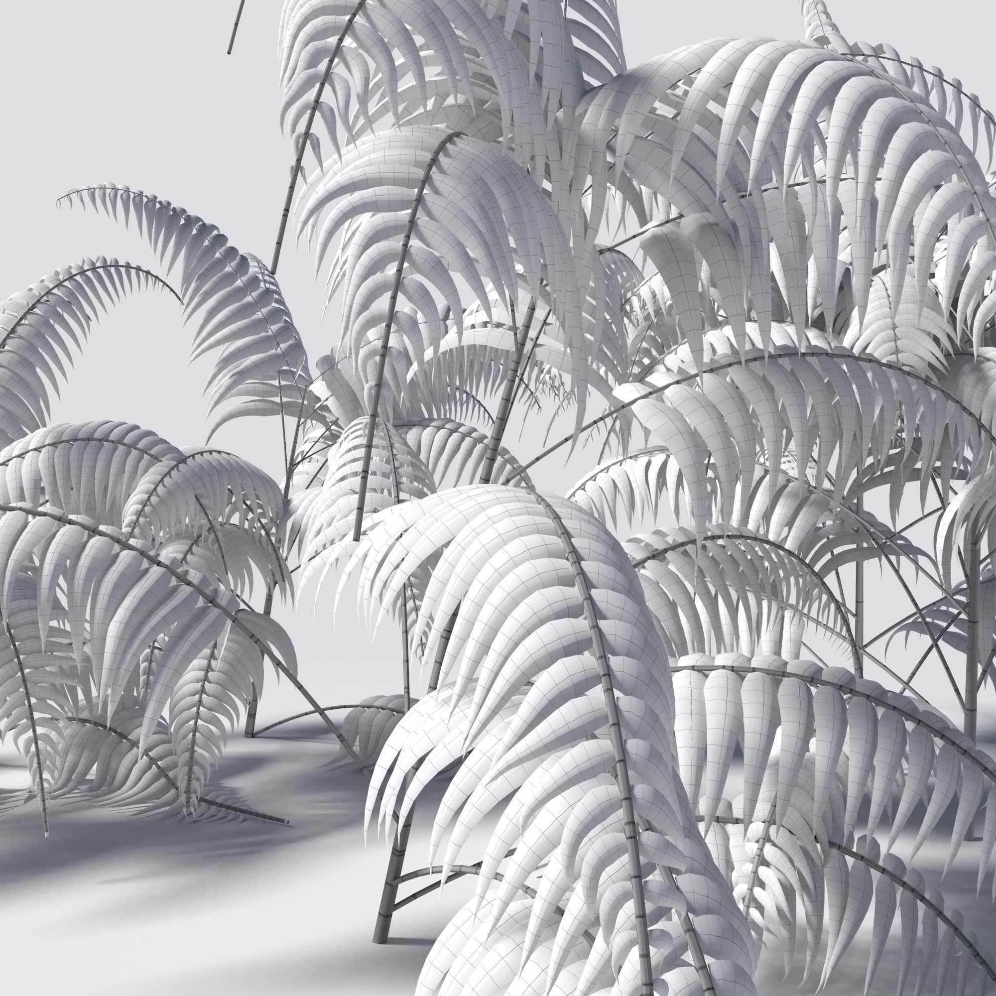 Fern Pack 3D model_3