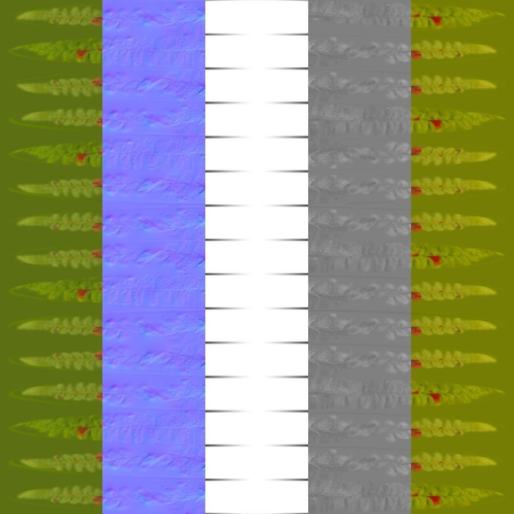 Fern Pack 3D model_9