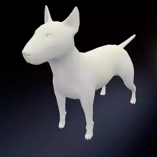 Bull Terrier