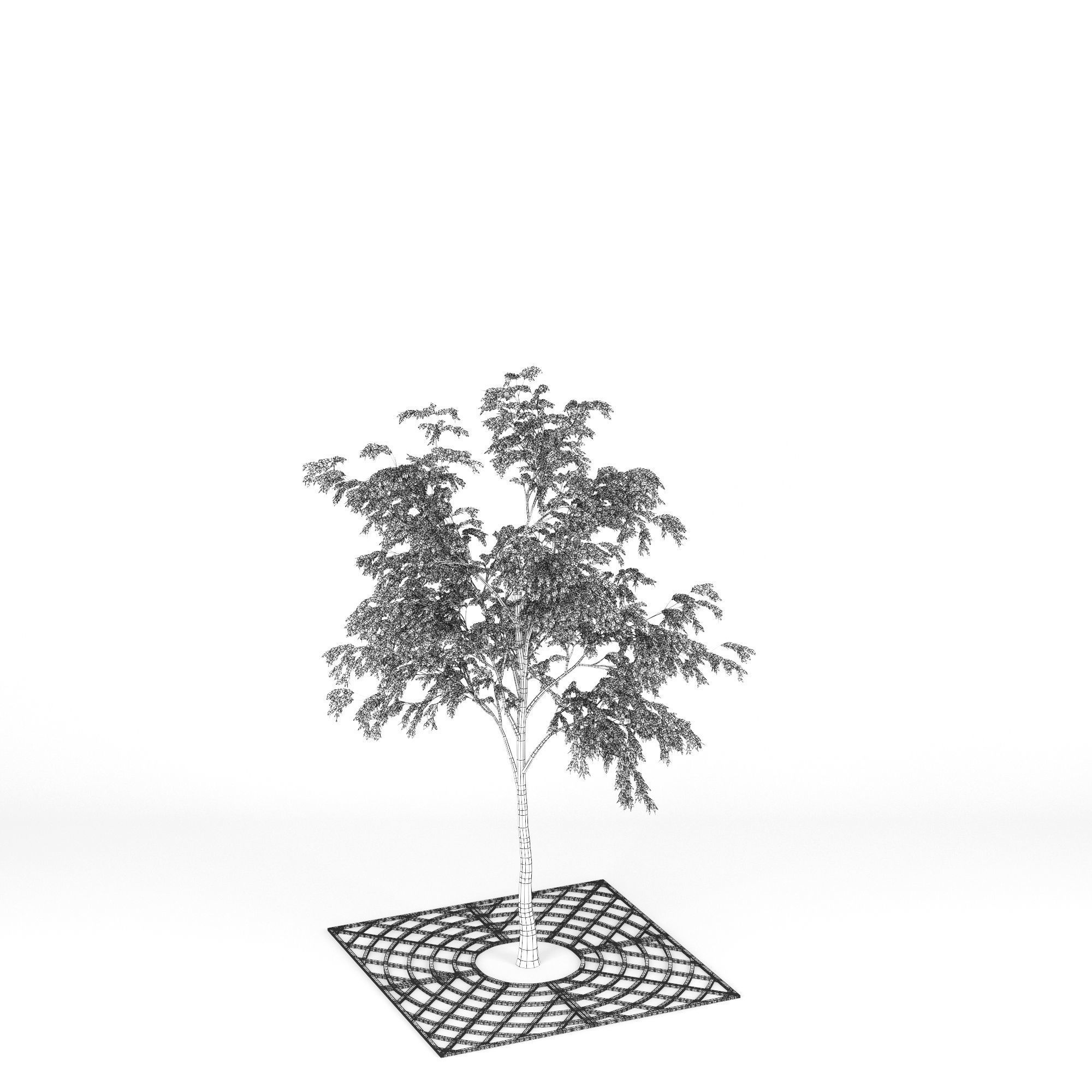 Street Tree 01 3D model_15