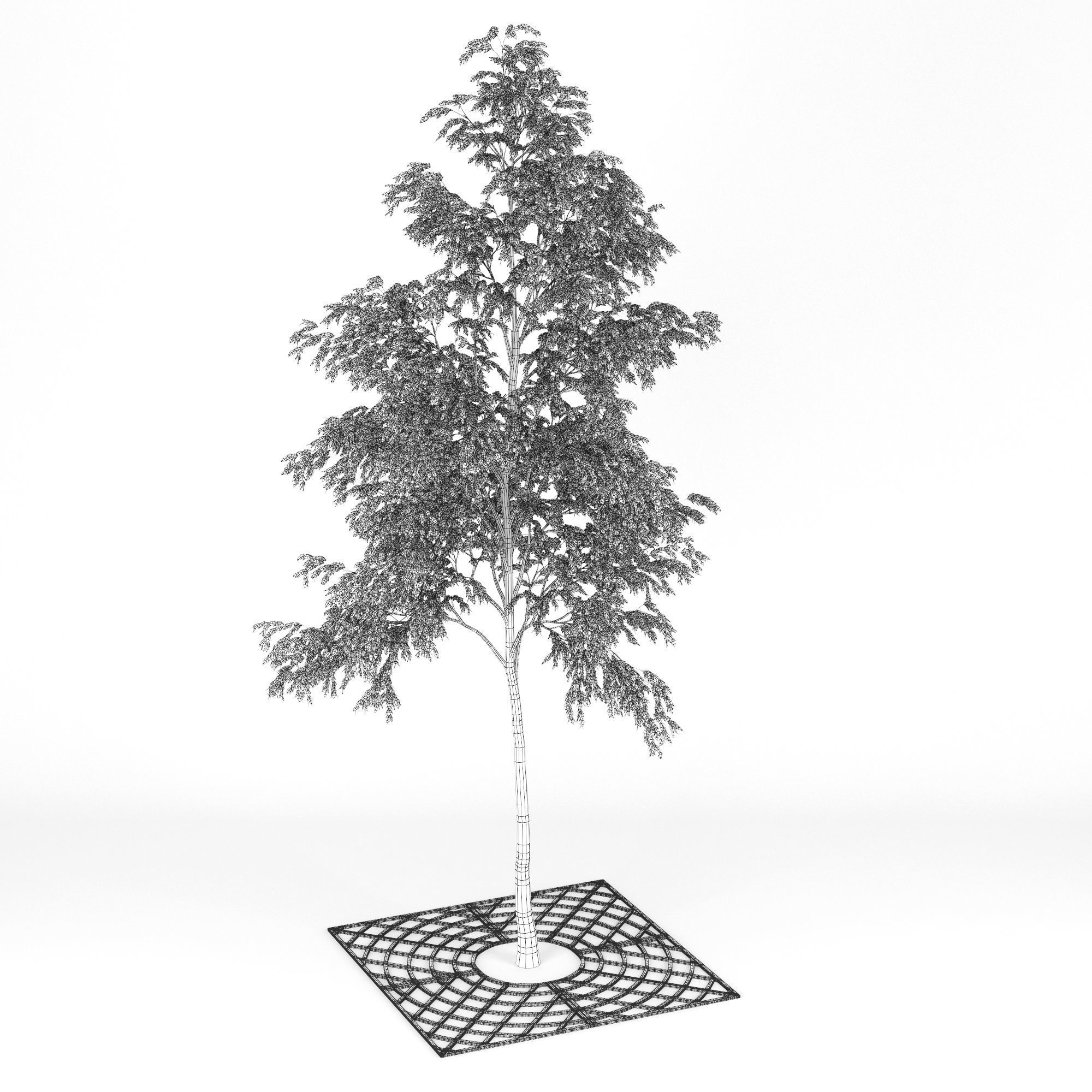 Street Tree 01 3D model_11