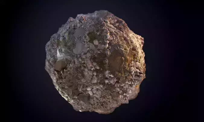 Muddy Swamp Sticks Rock Seamless PBR Texture