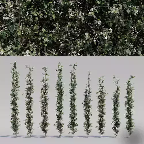 Creeper - Choisya Ternata - 9 Modular Pieces 3D model