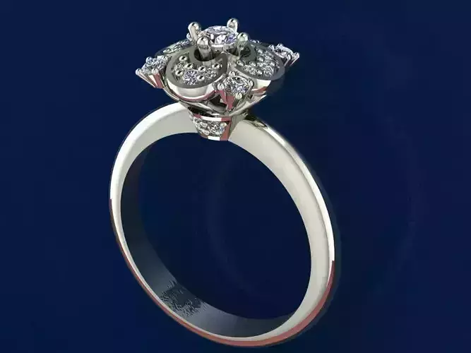 Ring with earrings 